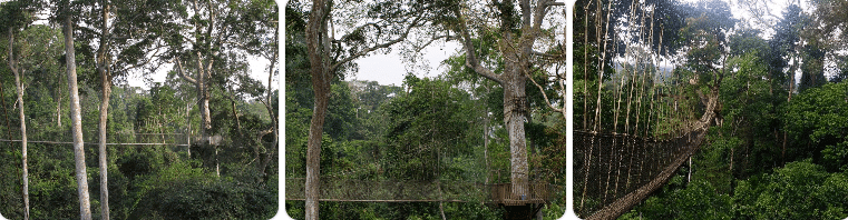 Top 7 Tourist Sites in Ghana